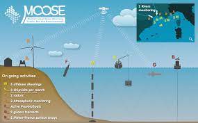 Point météo trouve la météo des villes de france, d'europe et du monde sur météofrance , météoconsult et mémorise vos villes préférées d'un seul clic. Moose