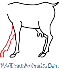 The margin of safety is astronomical, so you should always go with the higher weight, so you should have given her twice the dose for a 100 pound goat. How To Draw A Goat