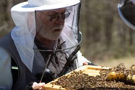 Bees are then relocated to an apiary and further i called them yesterday, and they came out to inspect that afternoon. In Rural Appalachia Beekeeping Offers A New Path For Coal Miners Civil Eats