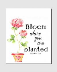 Maybe you would like to learn more about one of these? Pin On Spring
