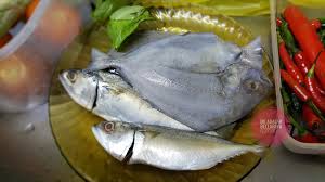 Di brazil, ikan inil banyak ditemukan di sungai amazon. Resepi Ikan Bawal Hitam Masak 3 Rasa Dengan Epal Hijau Ini Adalah Bellarina Natasya