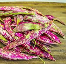 Add reserved cranberry liquid as needed. Fresh Cranberry Beans With Olive Oil Garlic May I Have That Recipe