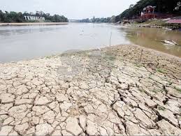 8 melihat hidupan dari atas bot di sungai kinabatangan, sabah. Sungai Pahang Di Ambang Garis Kemusnahan Pahang Outdoor Water