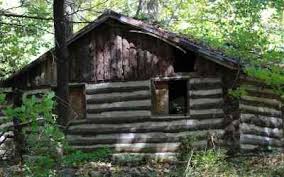Trim the hedges trimmed sticks, ready to become logs. How To Build A Log Cabin