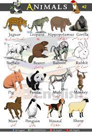 Animals Vocabulary 2 Learn Animals Vocabulary In English With Urdu In 2021 Animals Name In English English Vocabulary English Vocabulary Words Learning