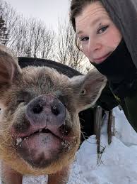 Pig owners. Who do you use for hooves? Vet care? Spay/neuter? I'm located  in Odessa