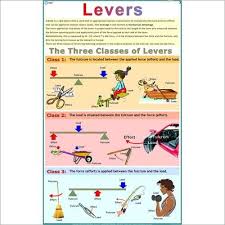 Three Kinds Of Levers Physics Charts