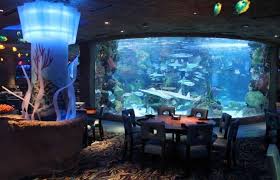 Aquarium Restaurant Nashville Tennesee Nashville Trip Cool Restaurant Nashville