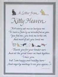 We know how hard it can be to lose a pet and have dealt with it ourselves. Cat Loss Cat Loss Poems Pet Loss Grief