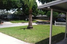 Hire the best lawn maintenance and mowing services in zeigler, il on homeadvisor. Lawn Care Services More Landscape Maintenance Lawn Maintenance Lawn Care