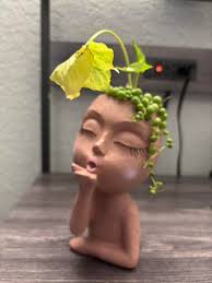 What is wrong with my arrowhead plant?