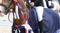Thirteen-Year-Old Léa Tercero Crowned Champion of France in Equestrian Sports