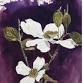 Go Big or Go Home:  Flowers in Vessels event in Manahawkin, NJ