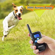 Amazon Com Petrainer Pet998dbb2 Dog Shock Collar Waterproof And Rechargeable 330 Yd Remote Dog Trainin Dog Training Collar Dog Shock Collar Best Dog Training