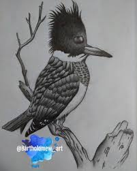 Karakalem Kus Art Bird Humanoid Sketch
