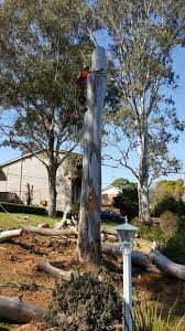 Emergency Tree Removal Homebush West Tree Removal Garden Services Tree Removal Service