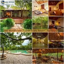 The Windflower Resorts Spa Tusker Trails Bandipur Is A Lavish Jungle Resort With A Perfect Merge Of Style And Extravagance It O Resort Jungle Resort Hotel