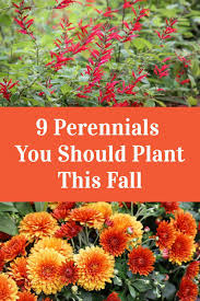 I have provided a printable list for you to choose seeds for your garden. 9 Perennials You Should Plant This Fall Fall Perennials Plants Fall Plants