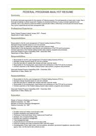 federal program analyst resume example