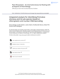 Portulaca fioritura inizia a giugno e dura quasi fino alla fine dell'autunno. Pdf Integrated Analysis For Identifying Portulaca Oleracea And Its Sub Species Based On Chloroplastic And Nuclear Dna Barcoding