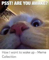 Psst Are You Awake How I Want To Wake Up Meme Collection Meme On Me Me