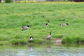 Among the many rv parks and campgrounds in the greater dallas and fort worth areas of texas, it's a sure winner. Come Rv With Us Lake Ray Roberts Rv Park Storage
