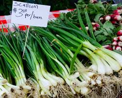 How to grow scallions in water. How To Grow Scallion Greens In A Glass Of Water Organic Authority