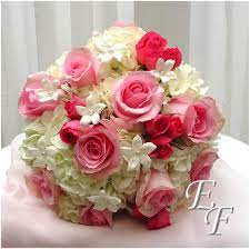 Light pink rose and hydrangea wedding bouquets. Soft Pink Roses Hydrangea Bridal Bouquet Ef 718 Essex Florist Greenhouses Inc