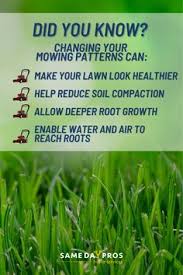 Yard maintenance services can cut down the time you spend on your lawn as well as improve the quality of care your grass and trees are getting. 110 Lawn Care Ideas In 2021 Lawn Care Lawn Care Tips Lawn