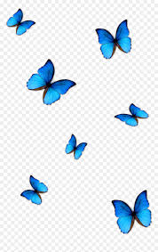 To created add 29 pieces, transparent butterflies images of your project files with the background cleaned. Transparent Background Butterfly Png For Editing Blue Butterfly Wallpaper Butterfly Background Butterfly Clip Art