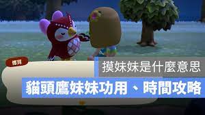 動物森友會／摸妹妹是什麼意思？動森貓頭鷹妹妹功能與時間攻略- 蘋果仁- 果仁iPhone/iOS/好物推薦科技媒體