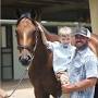 Profile Picture of BH Interview: Hal Hatch of Halcyon Hammock Farm - BloodHorse (@bloodhorse.com) on Google