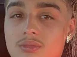 Fundraiser for Stephanie Boatright by Nichol Cunningham : Help lay Izaya to  rest