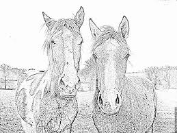 Les petites filles peuvent être aussi dessin princesse poppy à imprimer et à colorier. Coloriage Chevaux Dscn2495 R A Imprimer Pour Les Enfants Dessin Cheval