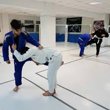 Absoluto Fighting Center - Scoala de arte martiale Abso - anuntul.ro -