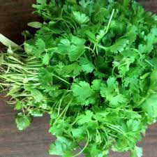 Coriander is an annual herb in the family apiaceae. Herbalicious