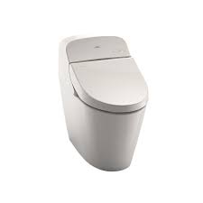 I would like to purchase a japanese style toilet but am not sure where. Best Japanese Toilet Reviews 2021