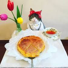 Cesit Cesit Sef Kostumleri Ve Yemekleri Ile Gorenleri Kendine Asik Eden Minnos Kedi Maro Kedi Sevimli Kediler Hayvanlar