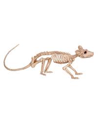 Rat Skeleton Artificial Animal Skeletons Horror Shop Com