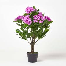If you prune later in the summer, you may be removing the wood. Lilac Hydrangea Artificial Plant With Pot 85 Cm