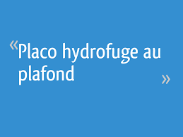Check spelling or type a new query. Placo Hydrofuge Au Plafond Resolu 6 Messages