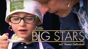 Der Insekten-Koch (Tibo)