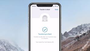 Every potential issue may involve several. Apple Wallet Transfer To Bank Wallet Walls