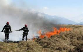 Pyrénées-Atlantiques : Actualités et info en direct : faits divers, météo, sorties, sport - Page 9801