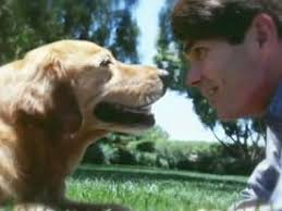 Dean Koontz A Big Little Life A Memoir of a Joyful