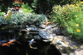 Pin By Water Garden Pond Supplies On Ecosystem Ponds Water Gardens Pond Fish Pond Gardens Backyard Garden Design
