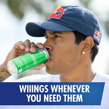 Red Bull Green Edition Dragon Fruit Energy Drink