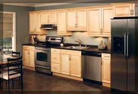 One Wall Kitchen Design Shapes For Renovated Kitchen Interior Design Home Interior Design Small Kitchen Layouts Kitchen Layout Kitchen Designs Layout