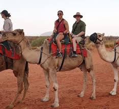 With stunning views of uluru and kata tjuta, watch. Uluru Camel Tours Picture Of First Light Travel Auckland Tripadvisor