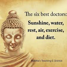 Six Best Doctors Buddha Quote Inspirational Quotes Best Doctors